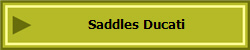 Saddles Ducati