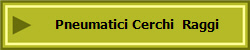 Pneumatici Cerchi  Raggi