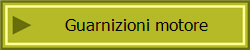 Guarnizioni motore